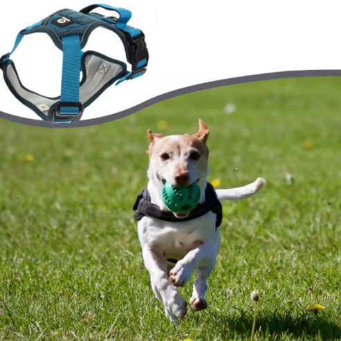 Harnais de Sécurité CarSafe pour Chien – Protection Maximale en Voiture et Confort au Quotidien