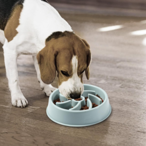 Gamelle Anti-Glouton Vinabo – Alimentation Lente et Digestion Saine pour Chiens et Chats