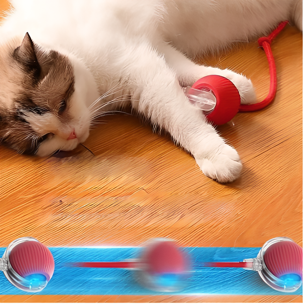 Pet Smart Rolling Ball Jouet De Balle