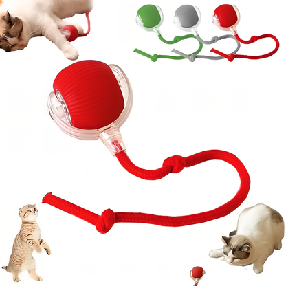 Pet Smart Rolling Ball Jouet De Balle