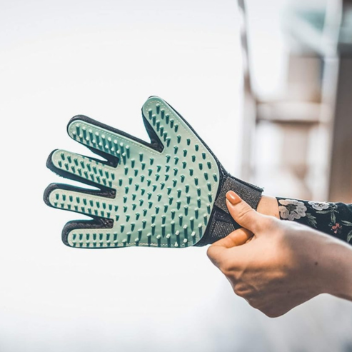 Gant de Toilettage du Chien et du Chat | Action 4 en 1 - Brossage, Massage, Bain et Récupération des Poils