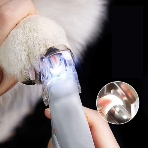 Coupe-Ongles TWH avec Lampe LED et Loupe – Précision et Sécurité pour le Toilettage de Vos Animaux