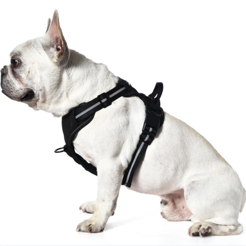 Harnais pour chien sans traction, réglable et rembourré avec bandes réfléchissantes