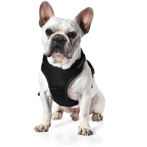 Harnais pour chien sans traction, réglable et rembourré avec bandes réfléchissantes