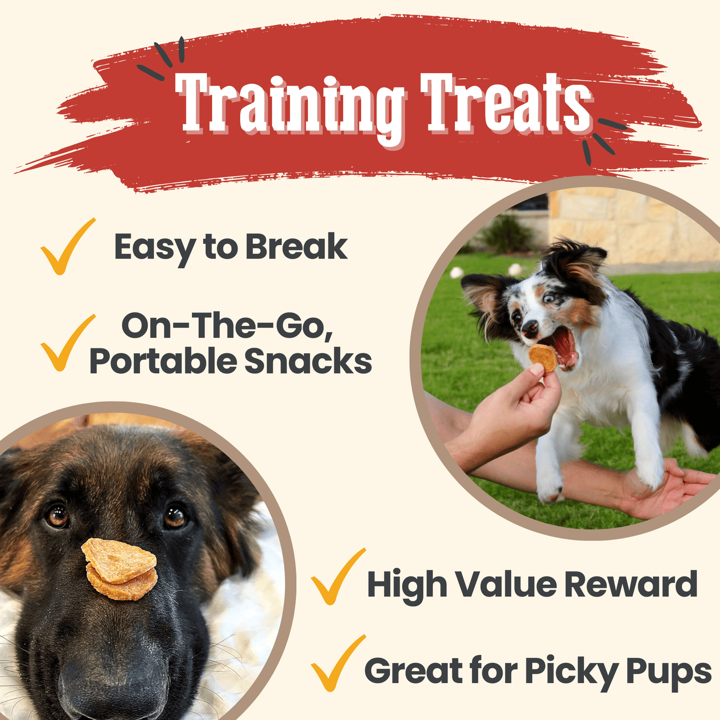 Dog Treats in Dog Supplies