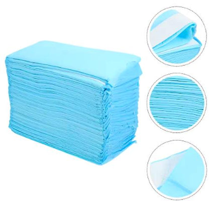 Tapis de Pipi Jetables pour Animaux – Lot de 40 Coussinets Absorbants en Tissu Non Tissé